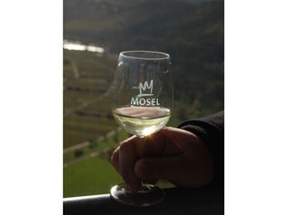 Apartamento de vacaciones Zell Mosel Documento 27