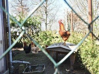 Appartamento Rerik  35