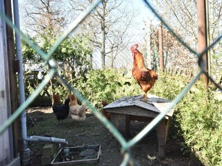 Apartamento Rerik  36