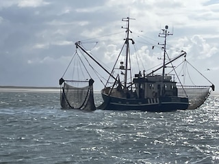 Ferienwohnung Hooksiel Umgebung 21