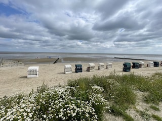 Ferienwohnung Hooksiel Umgebung 23