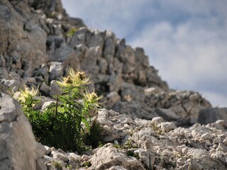 Bergwandern