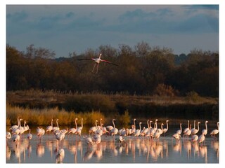 Casa per le vacanze Portiragnes Ambiente 34