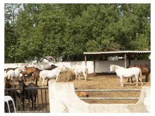 Casa per le vacanze Portiragnes Ambiente 19