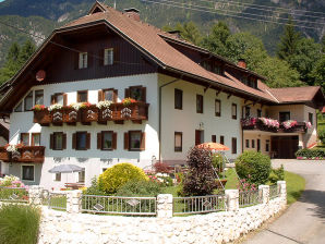 Holiday apartment Guesthouse in Wiesengrund Top 1 - St. Stefan im Gailtal - image1