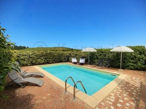 Holiday house with private pool - Montalcino - image1
