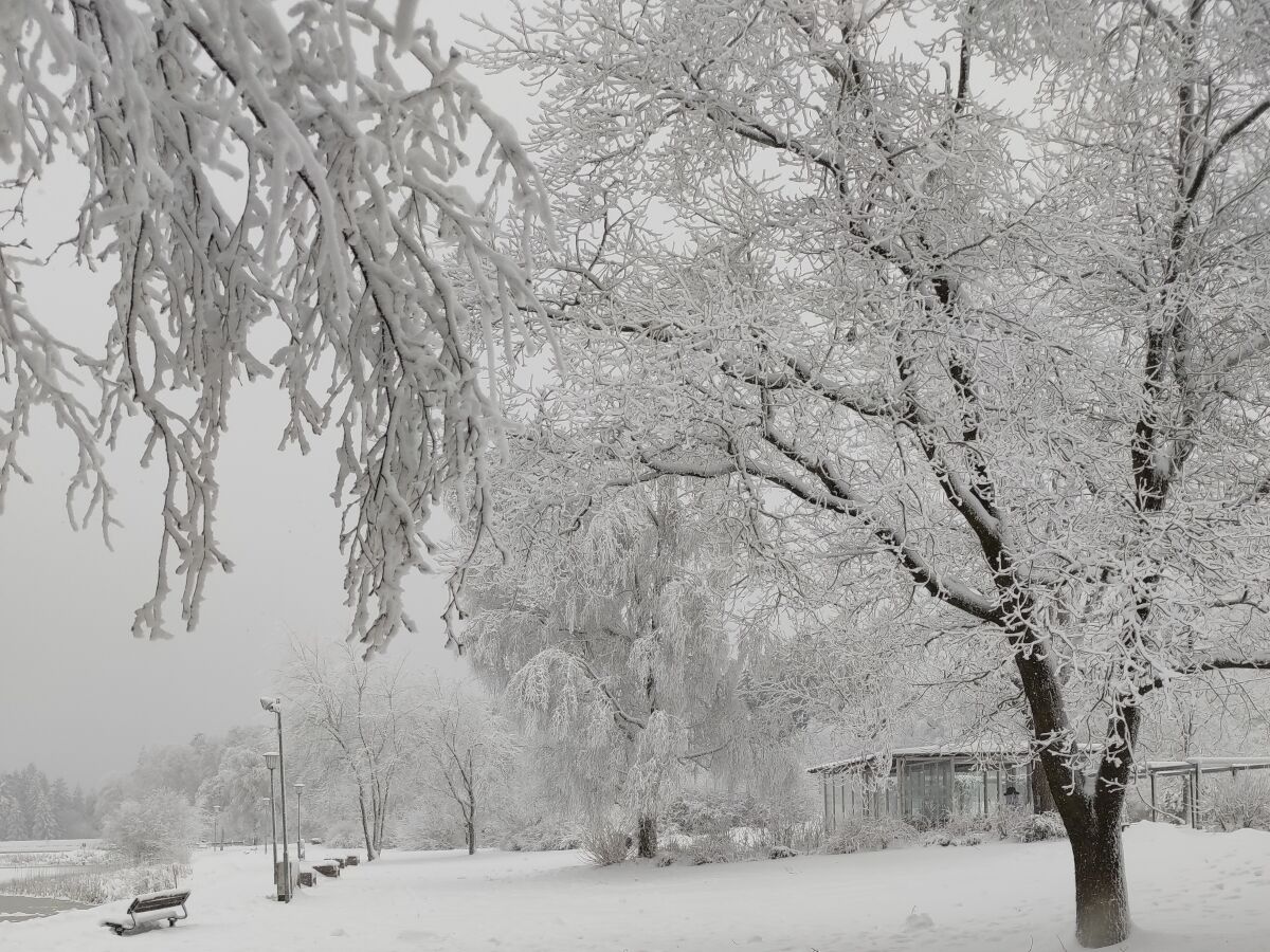 Winter im Kurpark