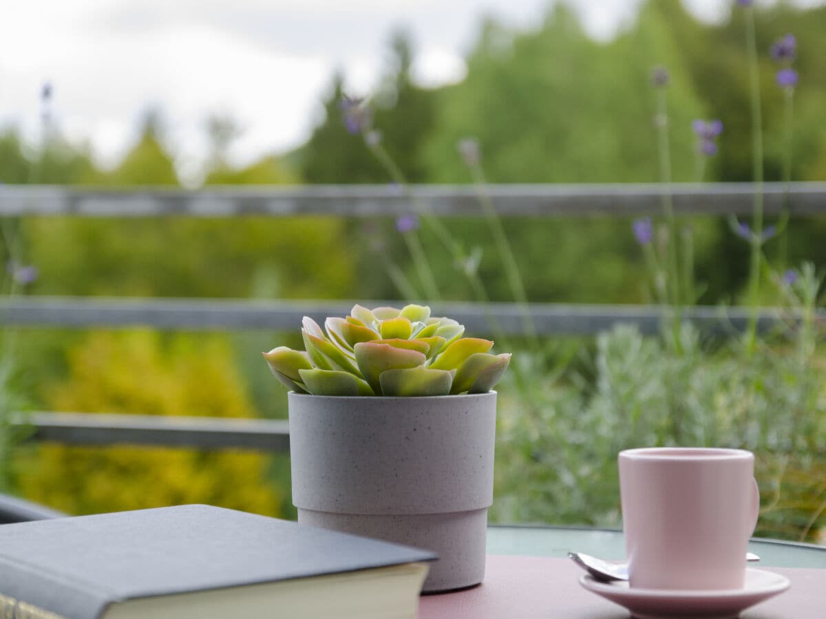 Balkon mit Blick zum Bocksberg