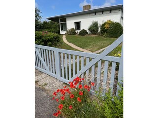 Vakantiehuis Petten Buitenaudio-opname 9