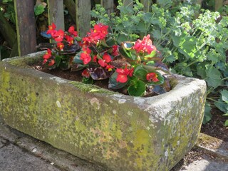 Appartamento Filsen Registrazione all'aperto 4