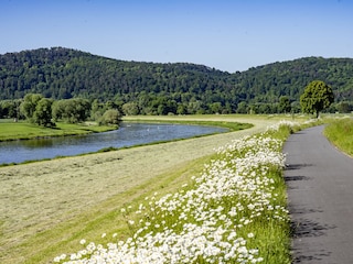 Weserradweg auf dem Forster Damm mit Blick auf Forst