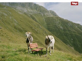 Apartamento Hopfgarten im Brixental Entorno 21