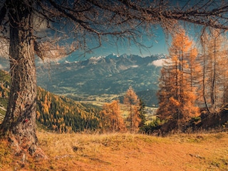 Chalet Ramsau am Dachstein Entorno 30