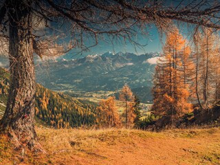 Chalet Ramsau am Dachstein Environnement 32