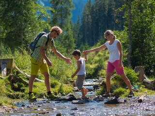 Chalet Ramsau am Dachstein Environnement 34