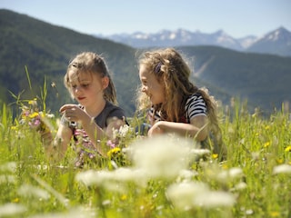 Chalet Ramsau am Dachstein Environnement 37