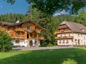 Chalet Ramsau am Dachstein Buitenaudio-opname 1