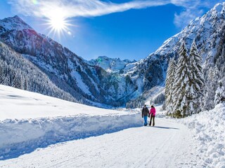Chalet Ramsau am Dachstein Buitenaudio-opname 8
