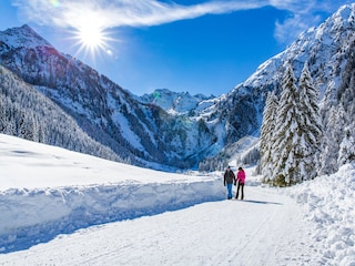 Chalet Ramsau am Dachstein Enregistrement extérieur 9