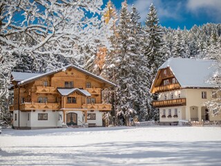 Chalet Ramsau am Dachstein Registrazione all'aperto 8