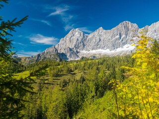 Chalet Ramsau am Dachstein Environnement 31