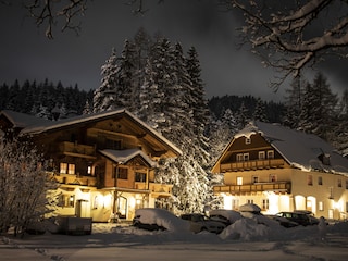 Chalet Ramsau am Dachstein Environnement 38