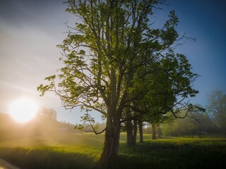 Apartamento Ramsau am Dachstein Características 20