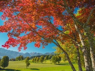 Appartamento Ramsau am Dachstein Ambiente 32