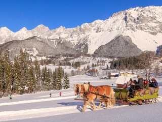 Enjoy with the horses the winterwonderland