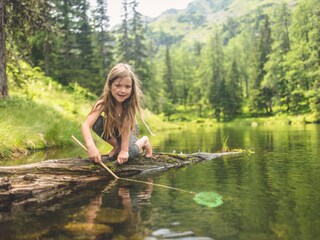 Appartement Ramsau am Dachstein Environnement 27