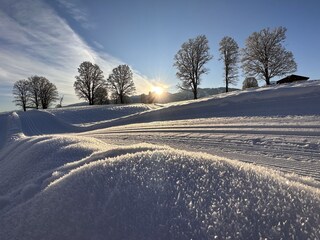 Vakantiehuisje Ramsau am Dachstein Omgeving 24