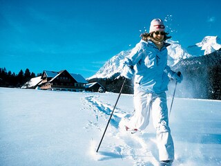 Vakantiehuisje Ramsau am Dachstein Omgeving 33
