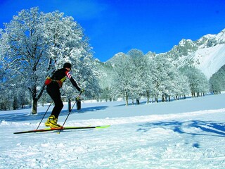 Casale Ramsau am Dachstein Ambiente 19