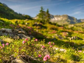 Einsame Plätze von Kraft und Energie