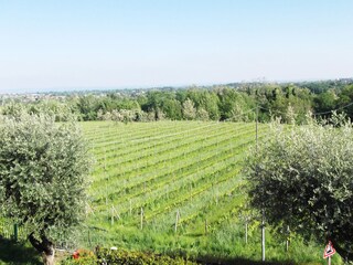 Villa Polpenazze del Garda Registrazione all'aperto 13