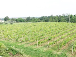 Villa Polpenazze del Garda Ambiente 31