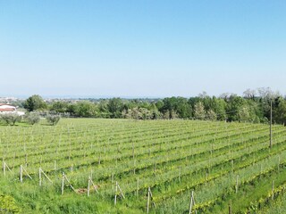 Villa Polpenazze del Garda Outdoor Recording 11