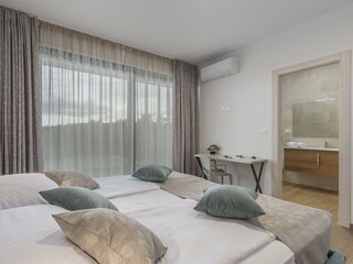 Villa Tinjan Caratteristiche 15