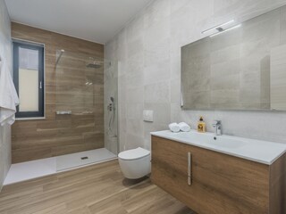 Villa Tinjan Caratteristiche 19