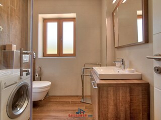 Villa Svetvinčenat Caratteristiche 20