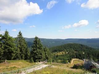 Eingang