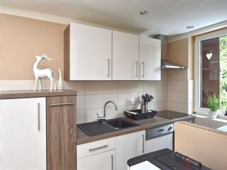 Casa per le vacanze Breitenstein Caratteristiche 9