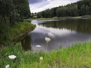 Casa per le vacanze Breitenstein Ambiente 34