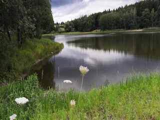 Ferienhaus Breitenstein Umgebung 34
