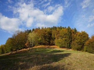 Maison de vacances Breitenstein Environnement 27