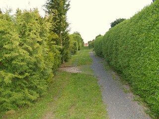 Vakantiehuis Breitenstein Omgeving 37