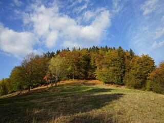 Ferienhaus Breitenstein Umgebung 28