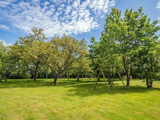 Bauernhof De Cocksdorp Außenaufnahme 4