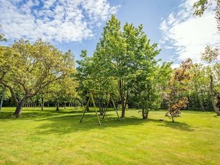 Type de propriété : Ferme De Cocksdorp Enregistrement extérieur 10