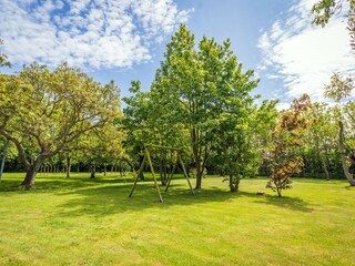 Boerderij De Cocksdorp Buitenaudio-opname 8